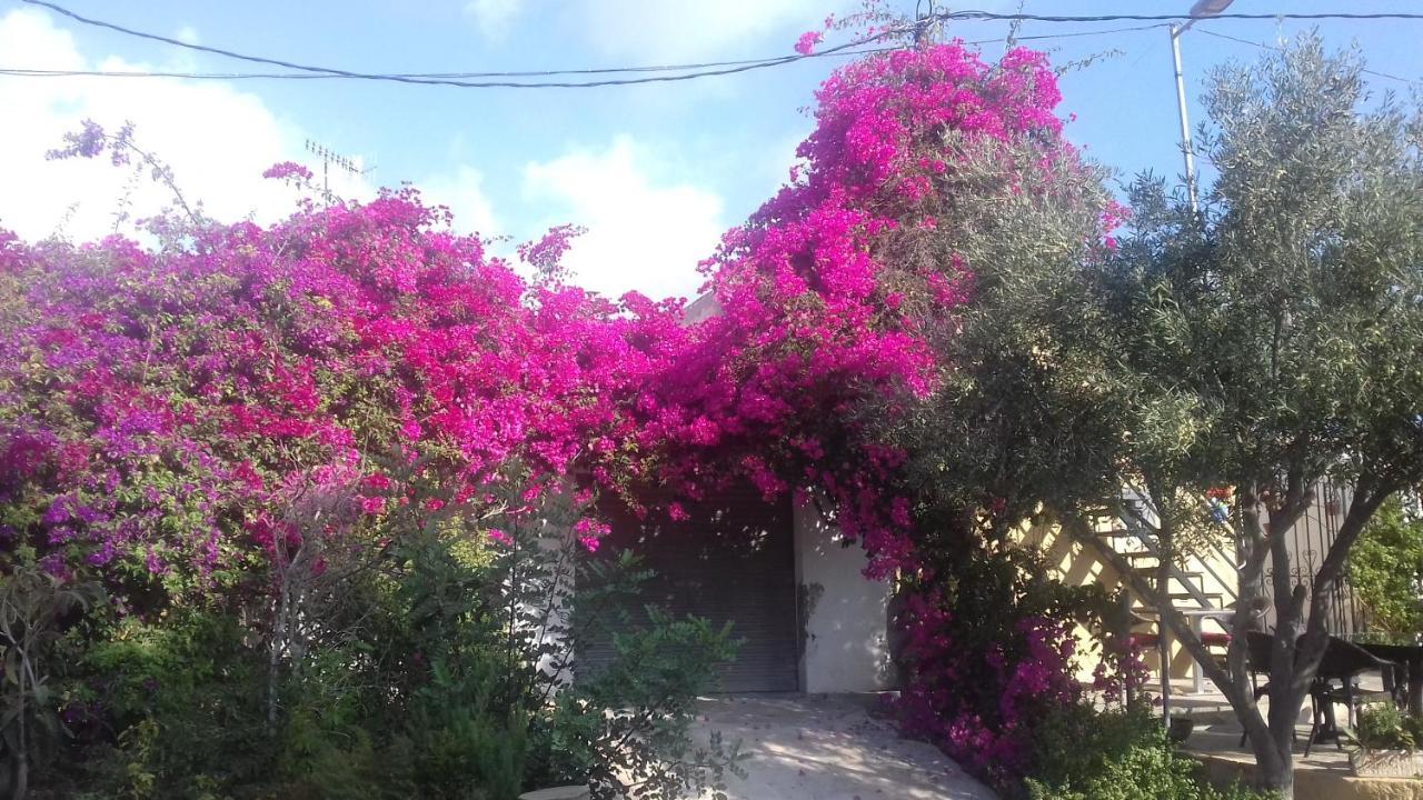 Casa Los Cerezos Villamartin  Esterno foto
